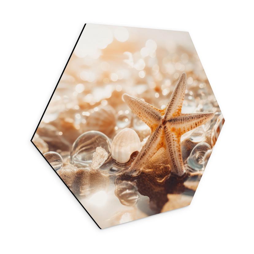 Sekskantet Billede Skaller på en solrig strand - Treechild - Aluminium Dibond