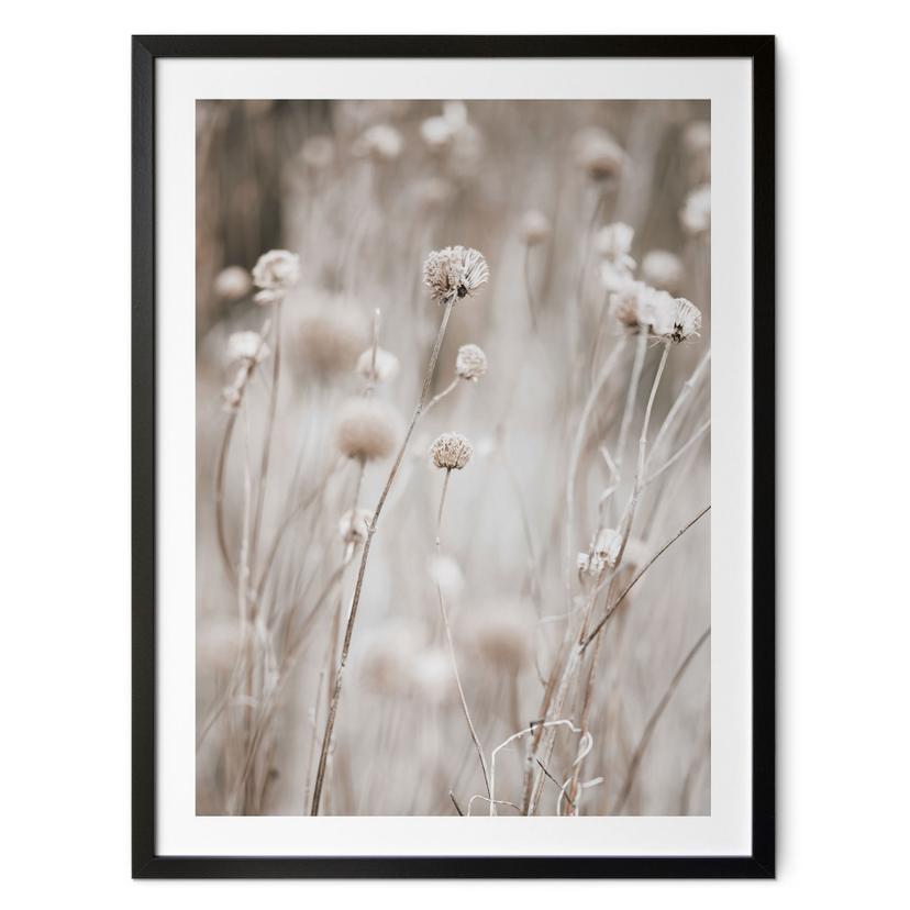 Plakat Tørrede blomster i bløde toner - Annie