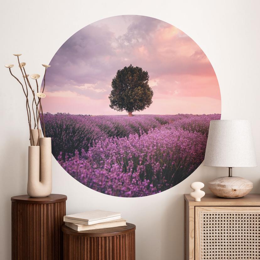 Vinilo decorativo Campos de lavanda púrpura al atardecer - Cevik - Redondo