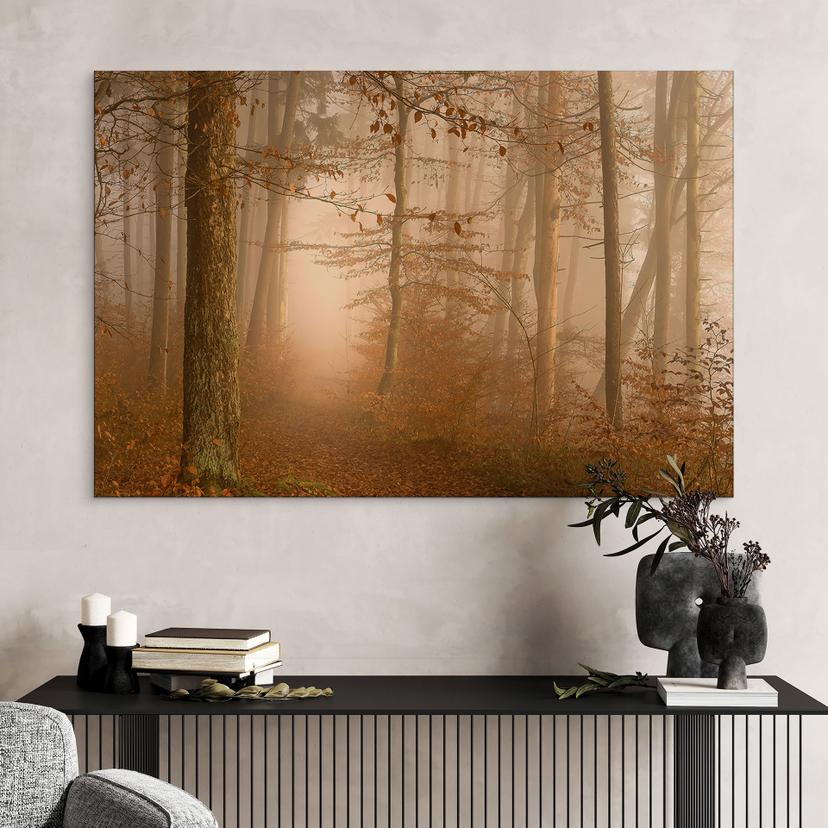 Stampe per pareti e luce in una foresta autunnale - Maier - Alu-Dibond