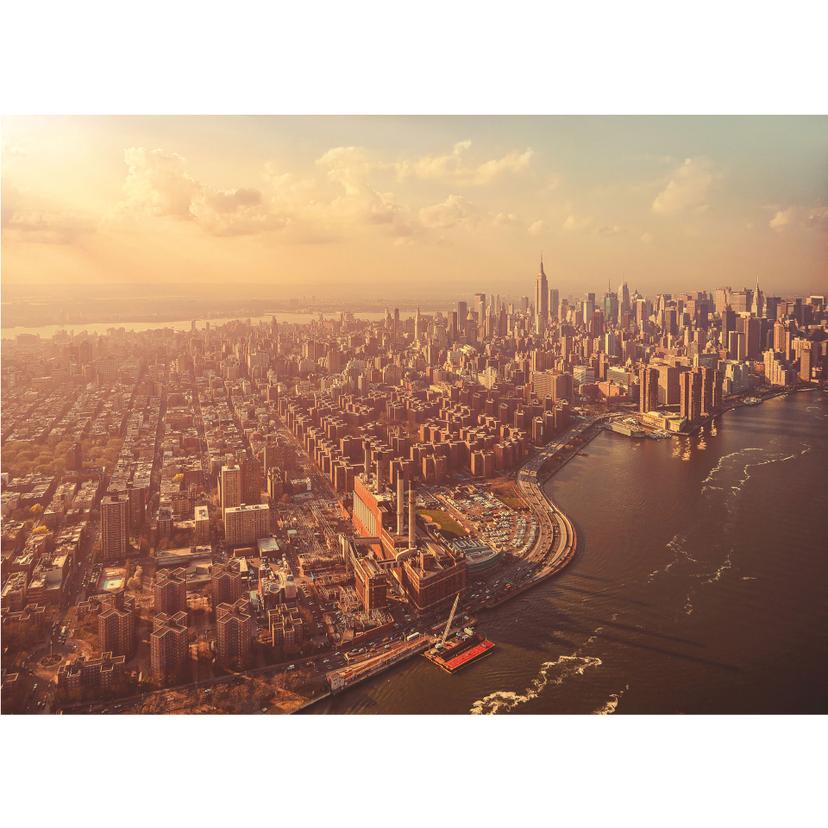Fotomurale in carta - Manhattan