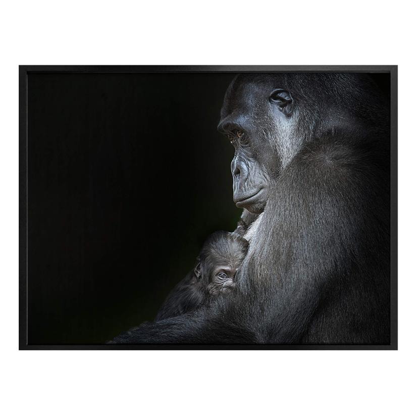 Poster Cuadrado - Tendresse