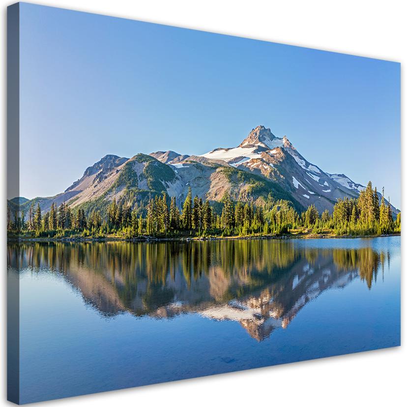 Canvasbillede, skov bjerge natur landskab