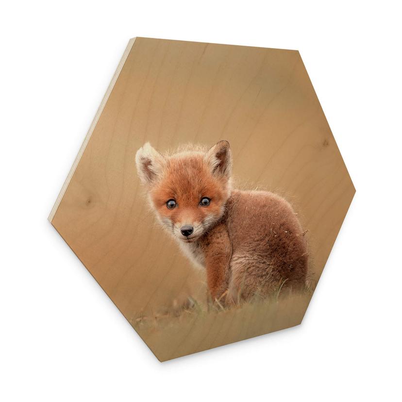 Hexagon Hout van Duijn - Baby Fox