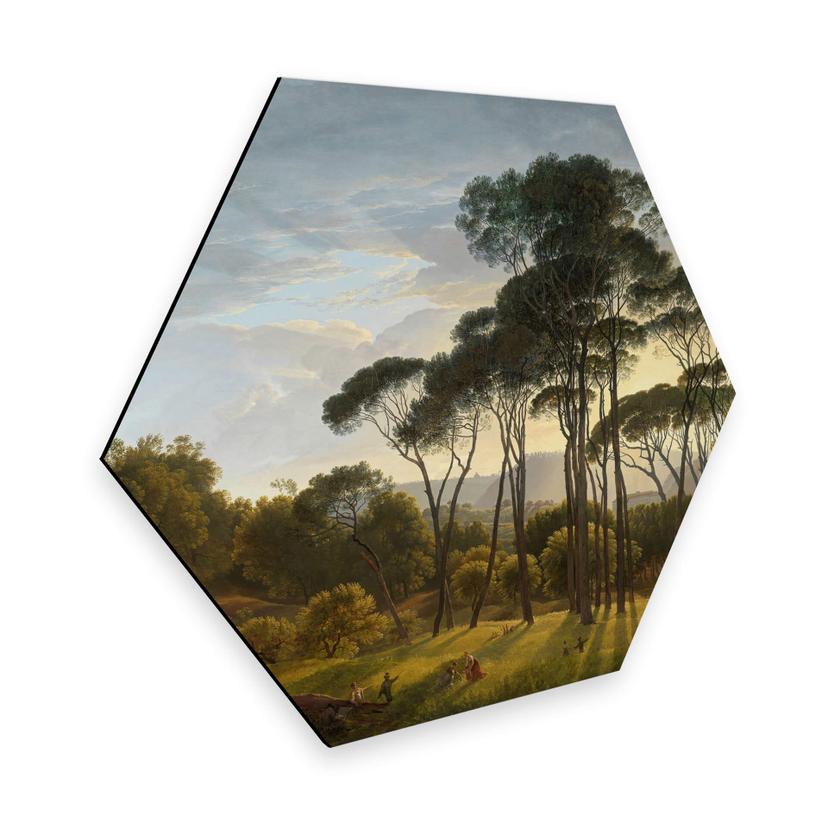 Hexagone - Alu-Dibond Voogd - Paysage italien avec pins parasols