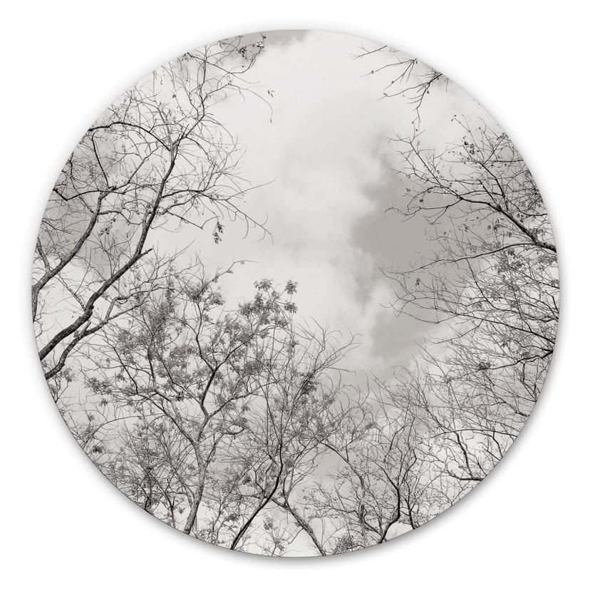 Tableau en alu-Dibond Cimes des arbes dans le ciel - Rond