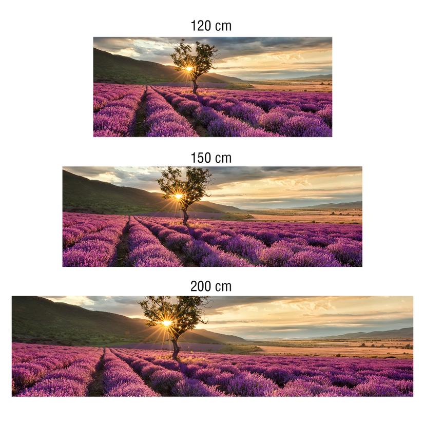Revêtement pour cuisine - Alu-Dibond - Fleurs de lavande en Provence