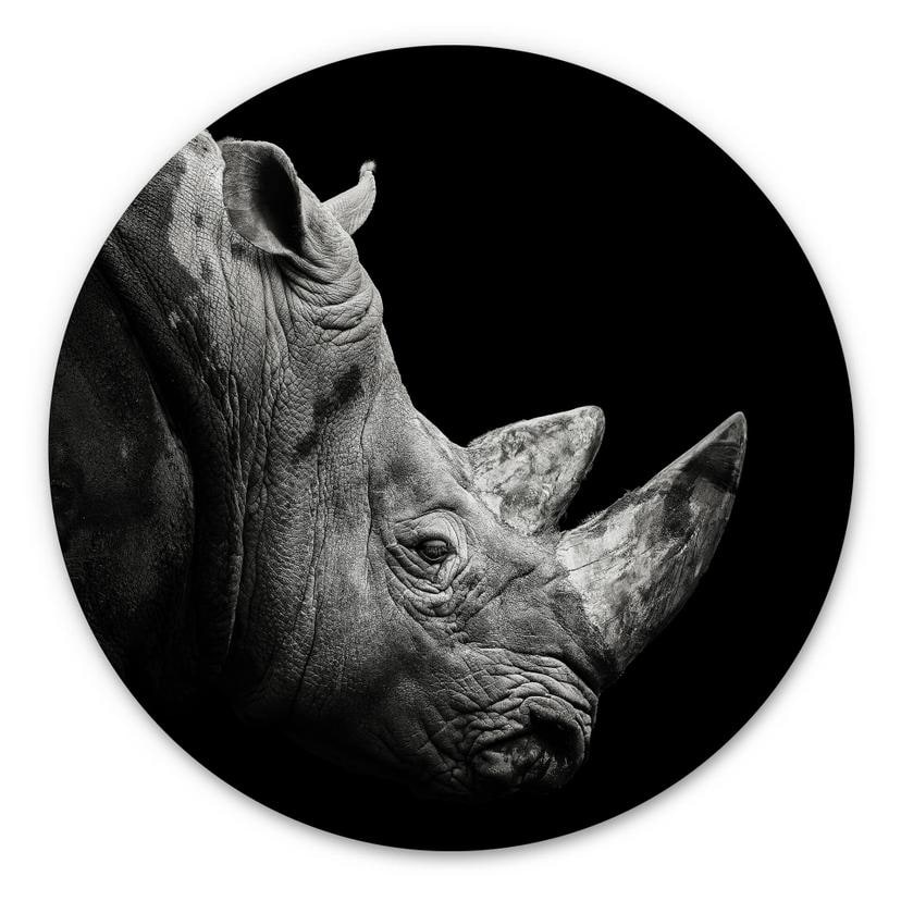 Hexagone - alu-Dibond Meermann - Le rhinocéros - Rond