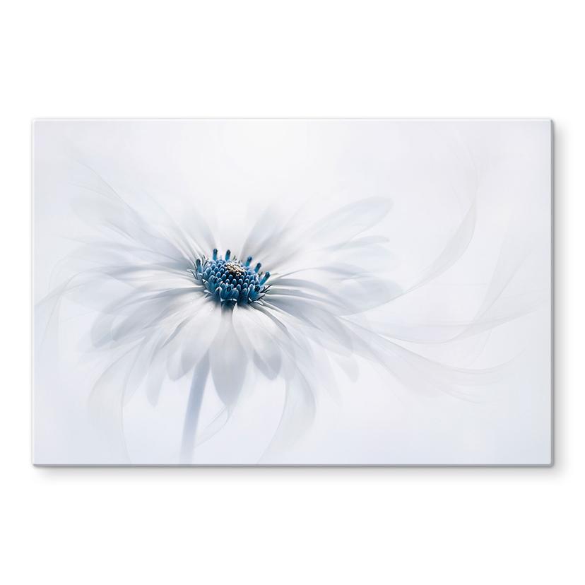 Pannello paraschizzi - Parker - Frozen Flower