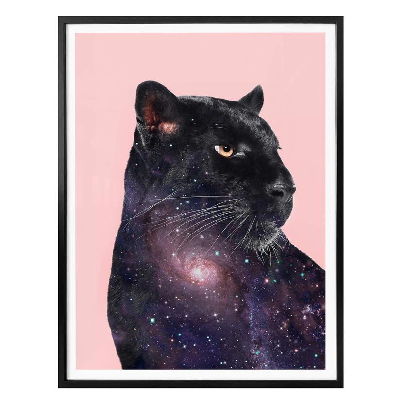 Poster Loose - Galaxie de panthère