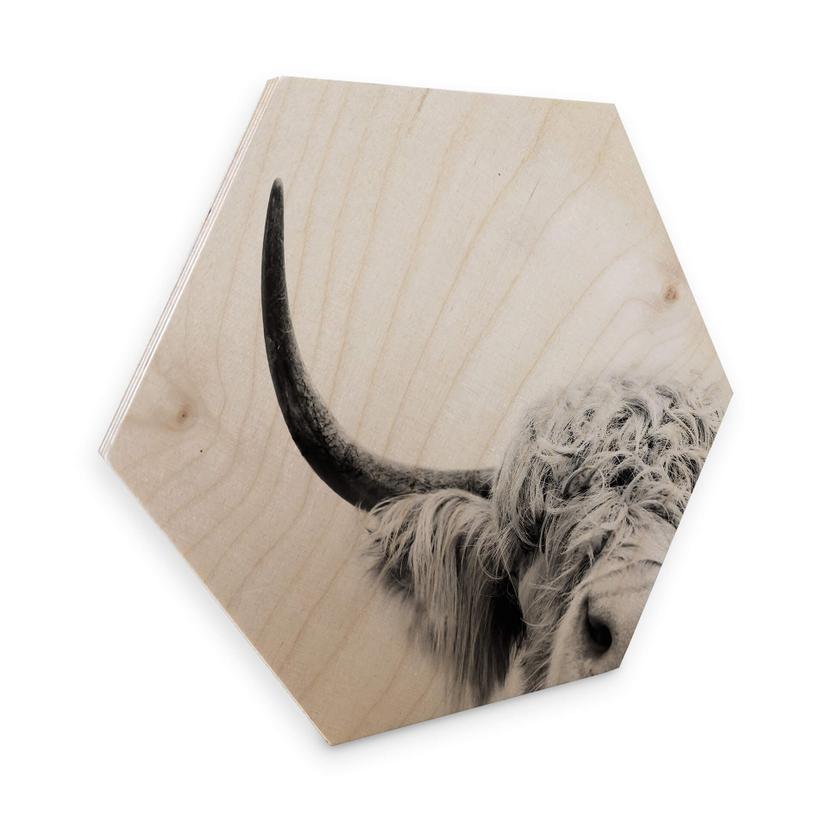 Hexagon Hout Sisi & Seb - Bull