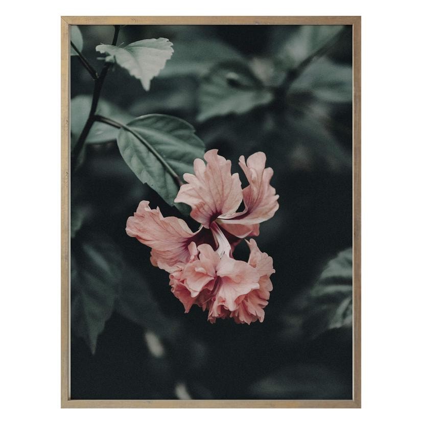 Poster Fleur tropicale