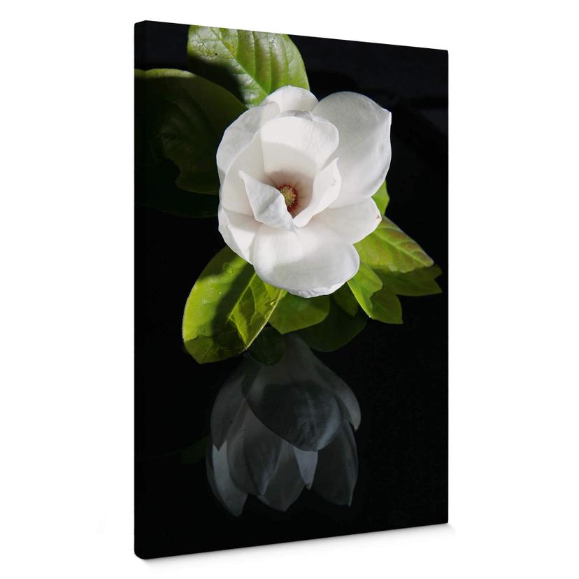 Lienzo Jardín de orquídeas