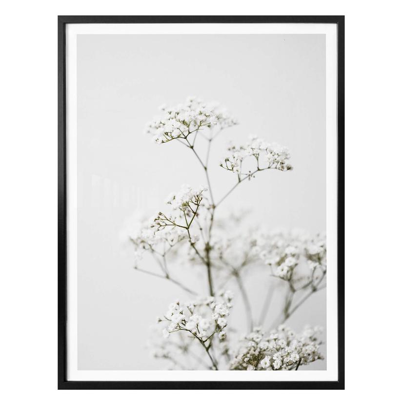 Plakat - Annie - Meadow