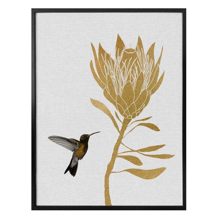 Plakat - Orara Studio - Hummingbird and Flower - golden flower