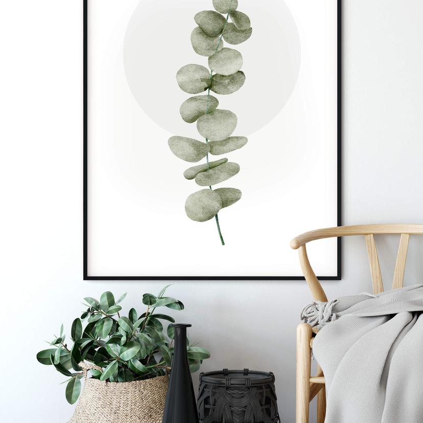 Poster Kubistika - Eukalyptus