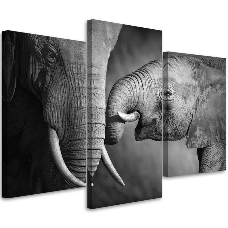 3 stykke lærredsprint Elefant sort og hvid