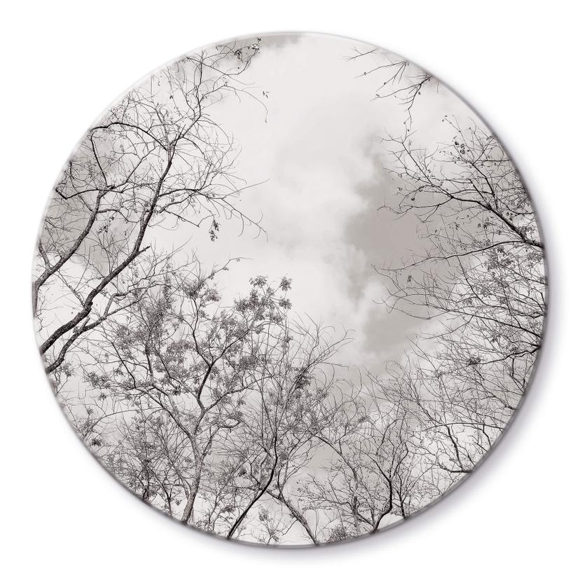 Tableau en verre Cimes des arbes dans le ciel - Rond