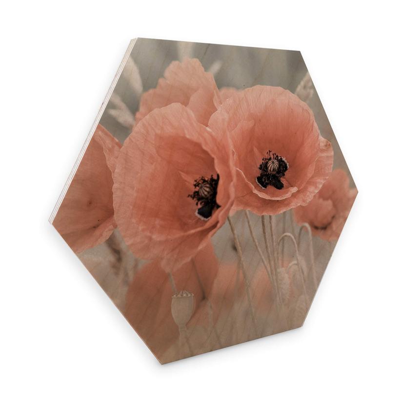 Hexagon Berkenfineer - Delgado - Floral Snake