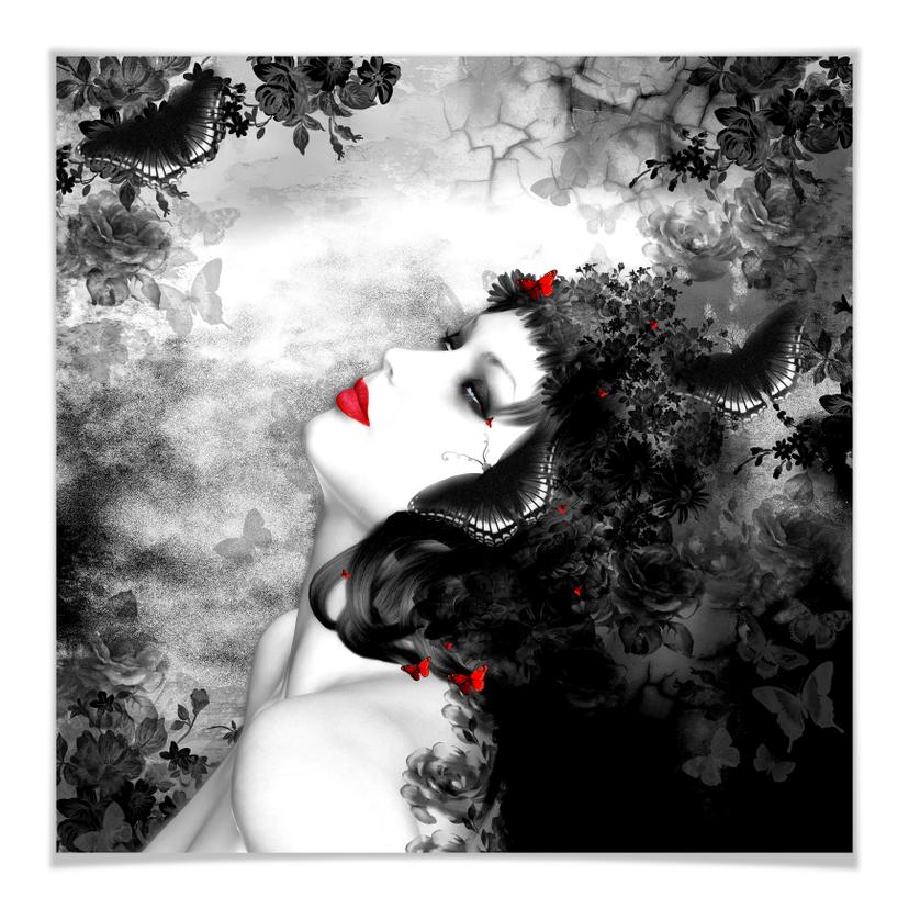 Poster - Papillon noir Imago