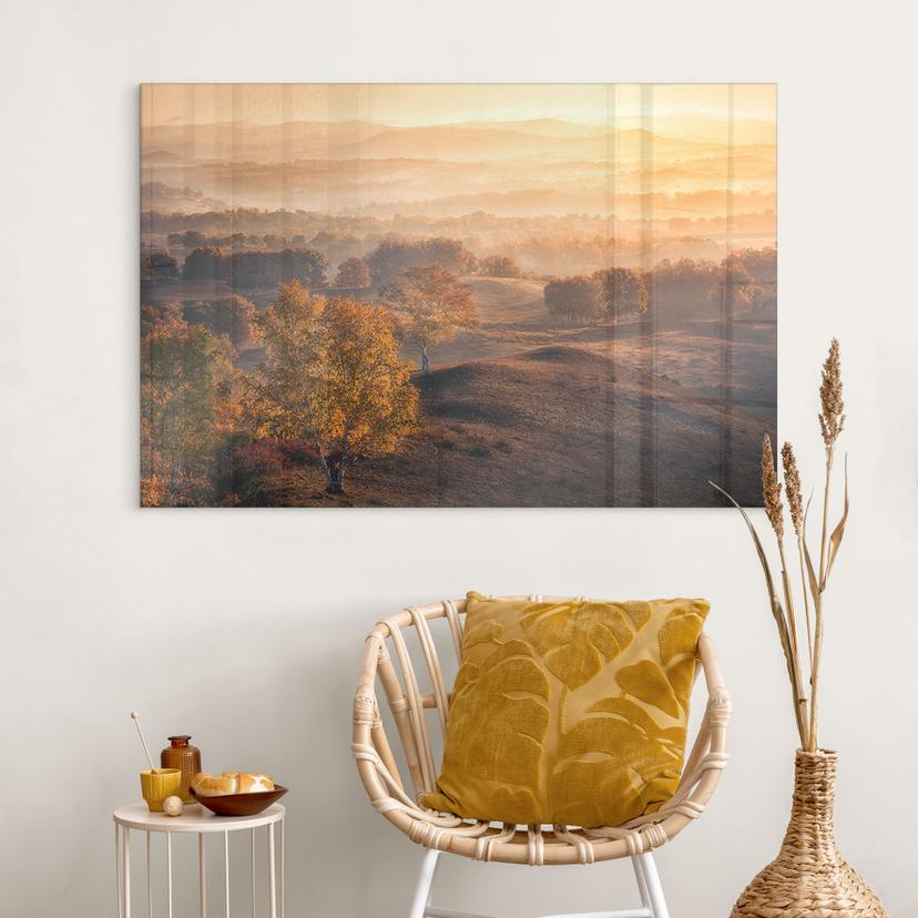 Tableau en verre acrylique Bouleaux dans la rosée dorée du matin - Cui