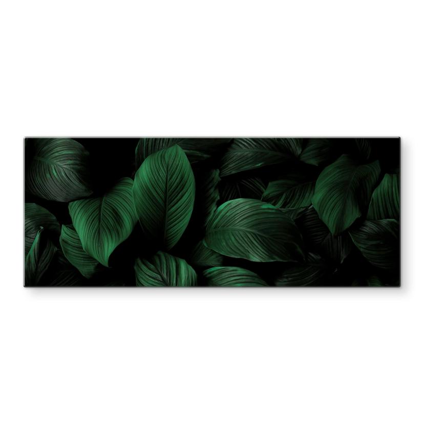 Pannello paraschizzi - Foglie tropicali