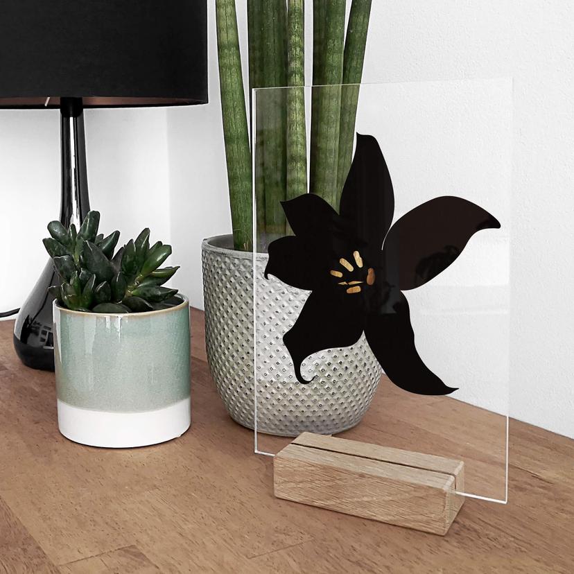 Decoro acrilico + supporto Kubistika - Orchidea nera