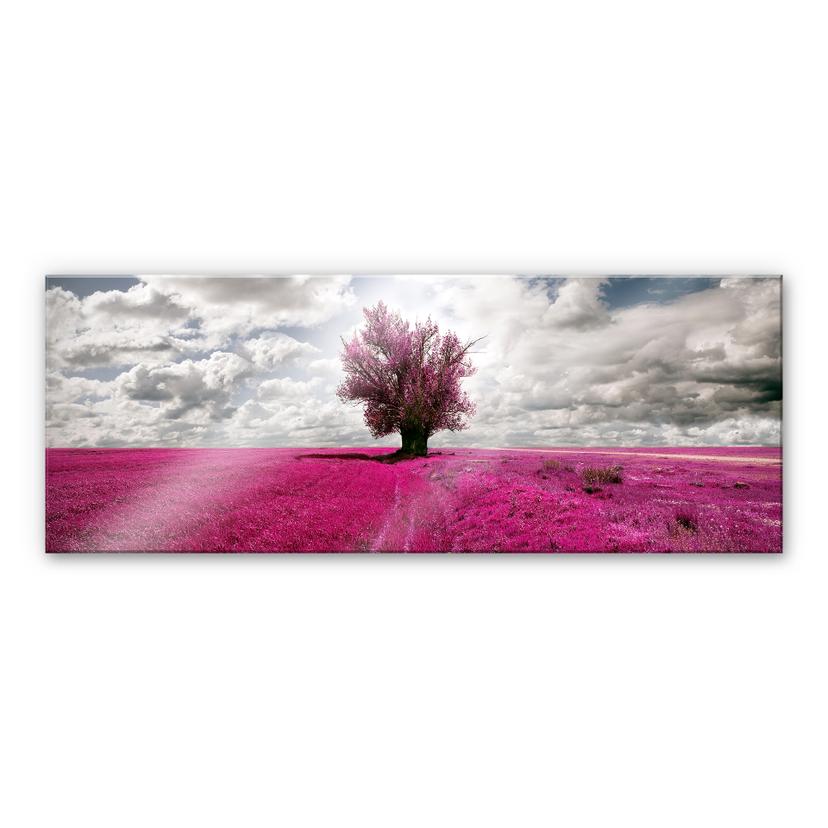 Akrylbillede Det ensomme træ - Panorama