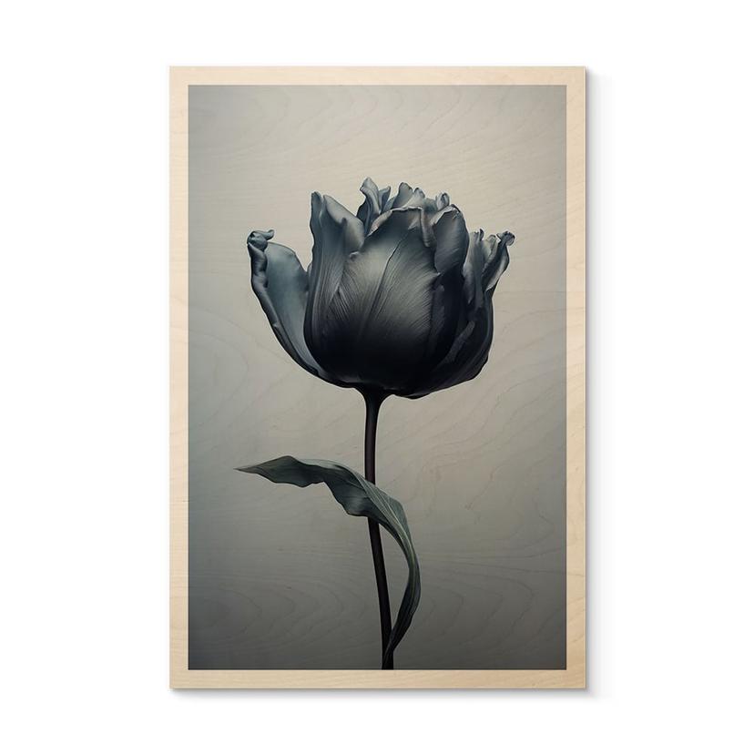 Cuadro de madera tulipán aterciopelado en negro - Paksoylu