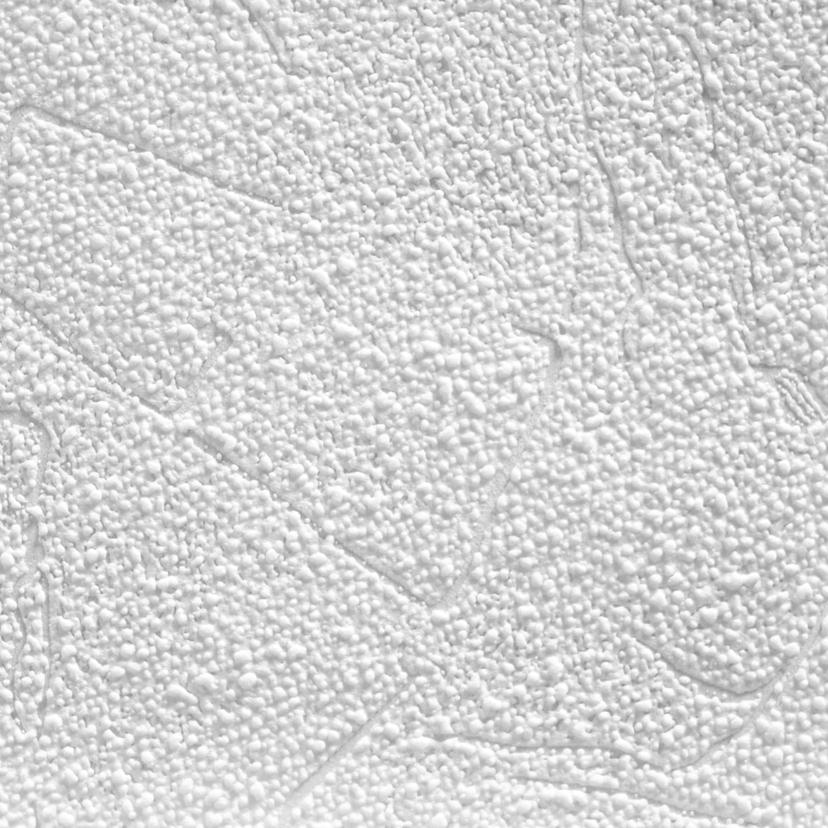 A.S. Création - carta da parati in TNT verniciabile Meistervlies Pro Protect 2 colore bianco