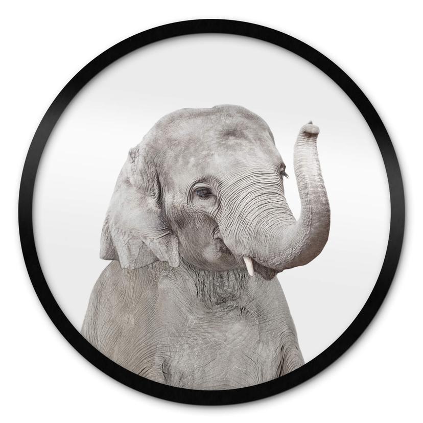 Póster Sisi & Seb - Elefante bebé - Redondo