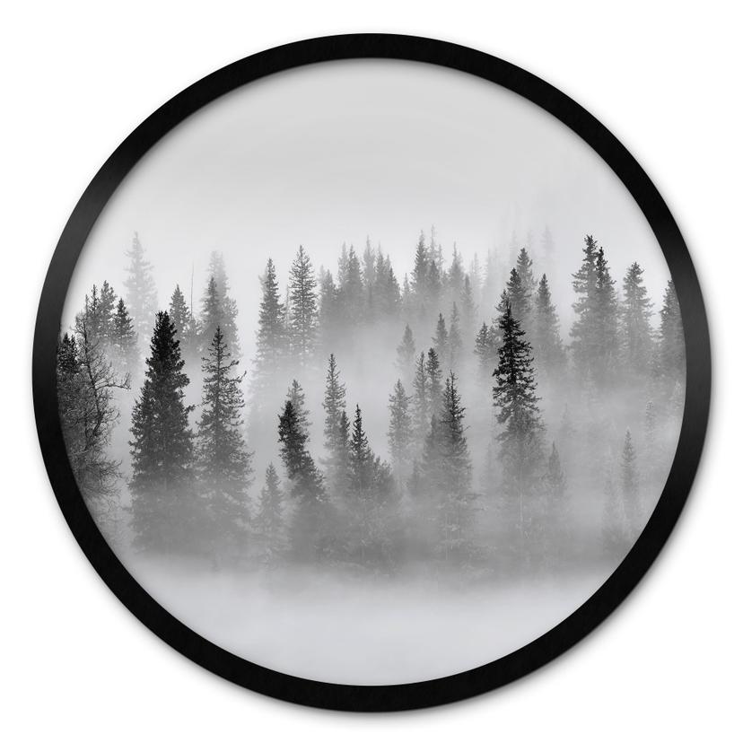 Plakat Xu - Foggy Forest