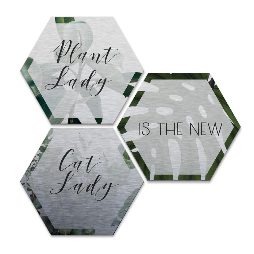 Hexagone - Alu-Dibond-Effet argenté - Plantlady is the new Catlady (Set de 3)
