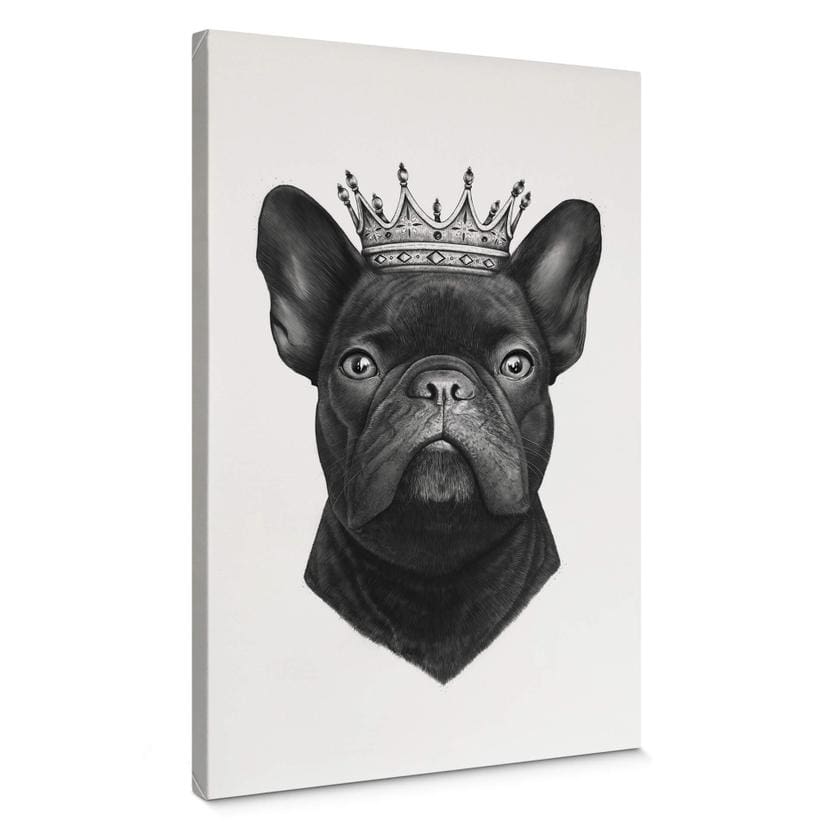 Tableau en toile Korenkova - King French Bulldog