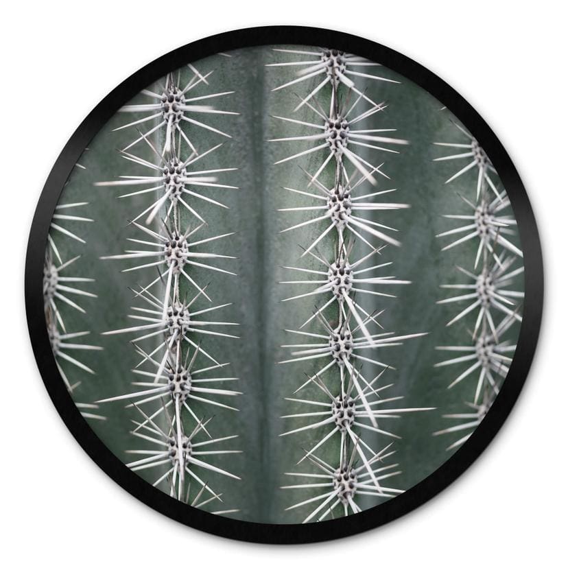Plakat 1X Studio - Cactus