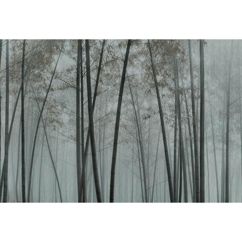 Livingwalls fotomurale Walls by Patel 3 Bamboo