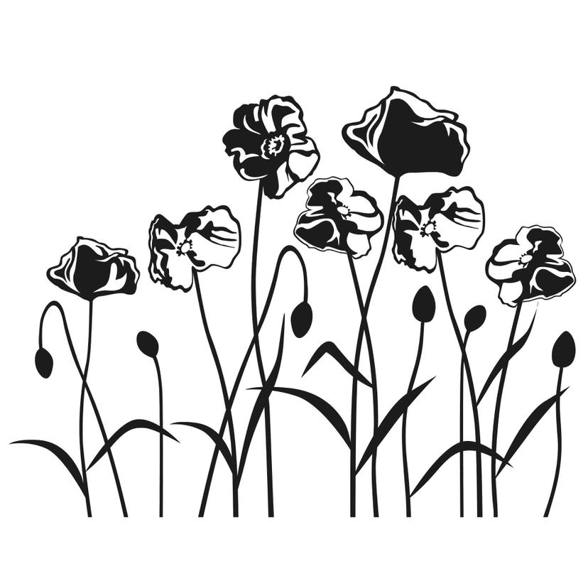 Sticker mural - Coquelicots