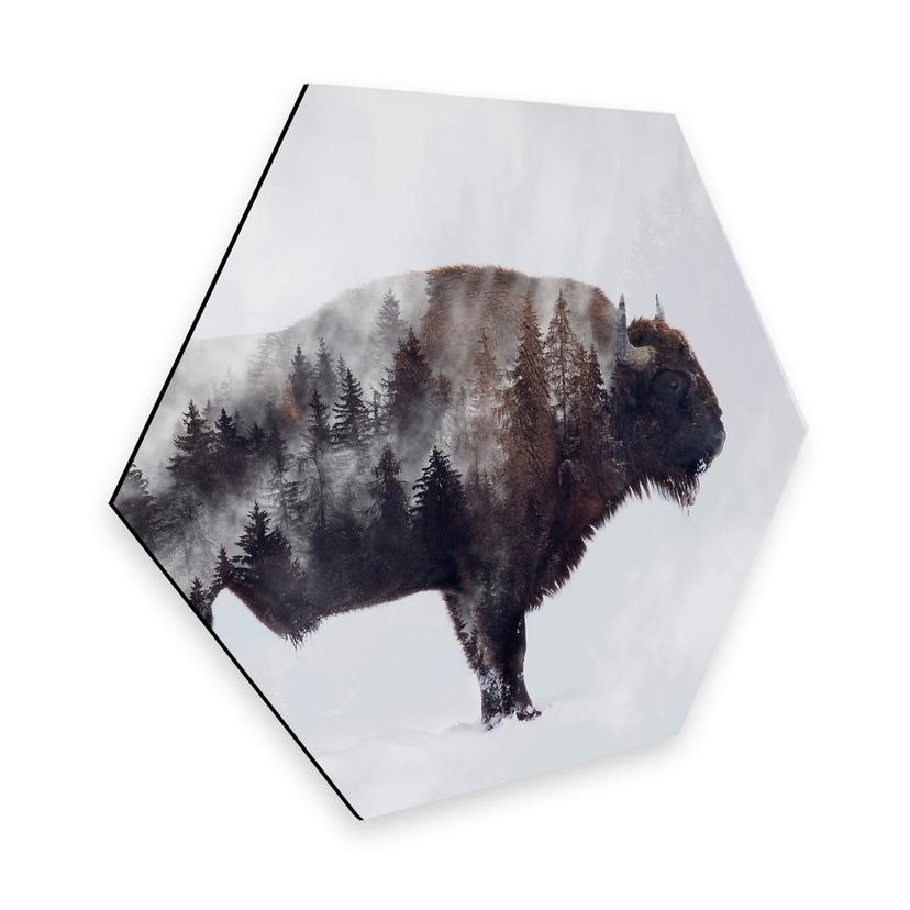 Hexagon - Alu-Dibond - Beáta - The Bison