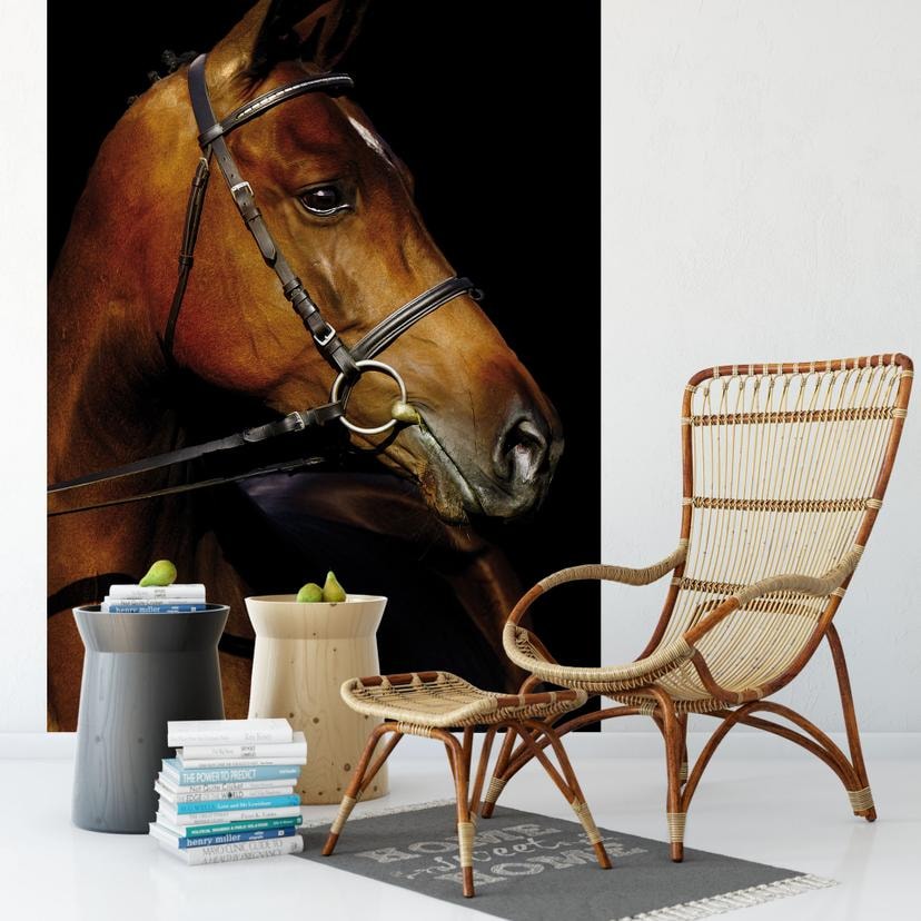 Fototapet - Hest