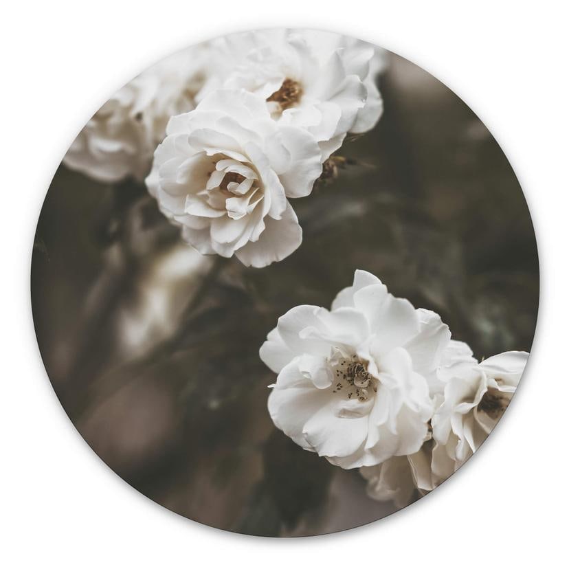 Tableau sur alu-Dibond Annie - Louise Bugnet - Rond