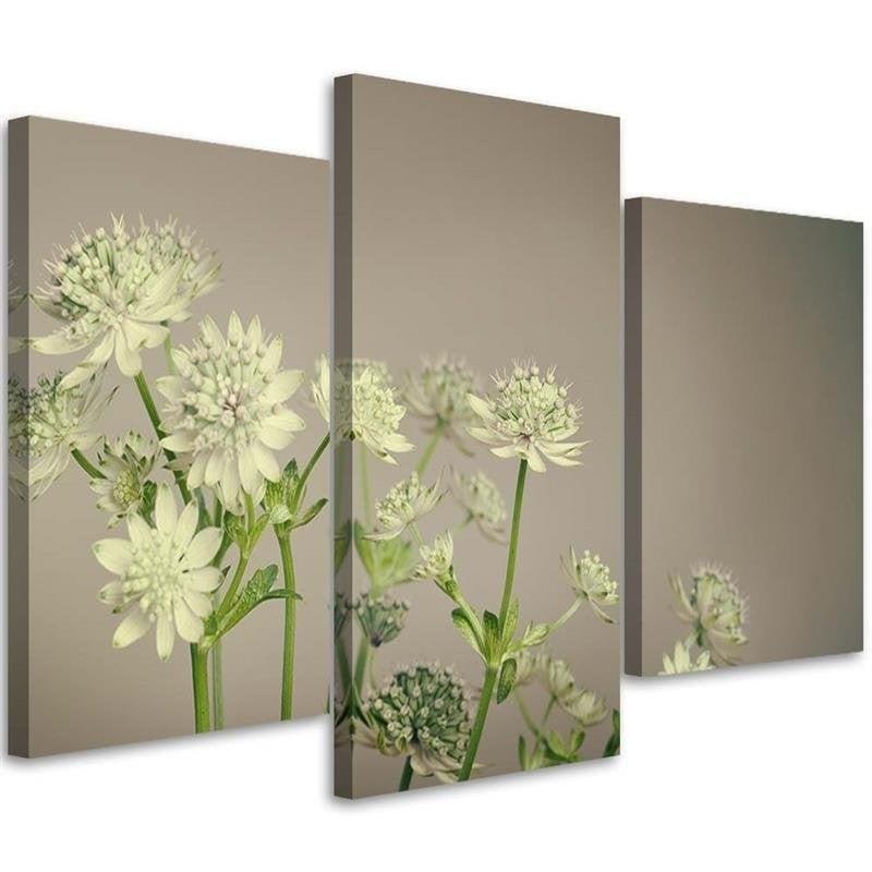 Impression sur toile en 3 parties, fleurs des champs blanches