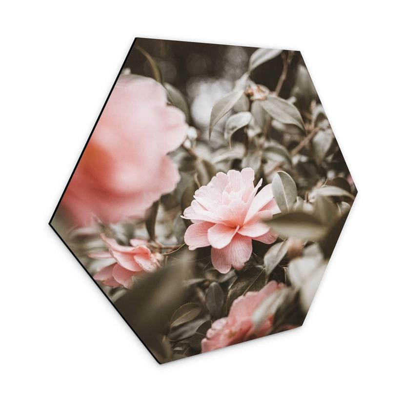Hexagone - Alu-Dibond Annie - Roses