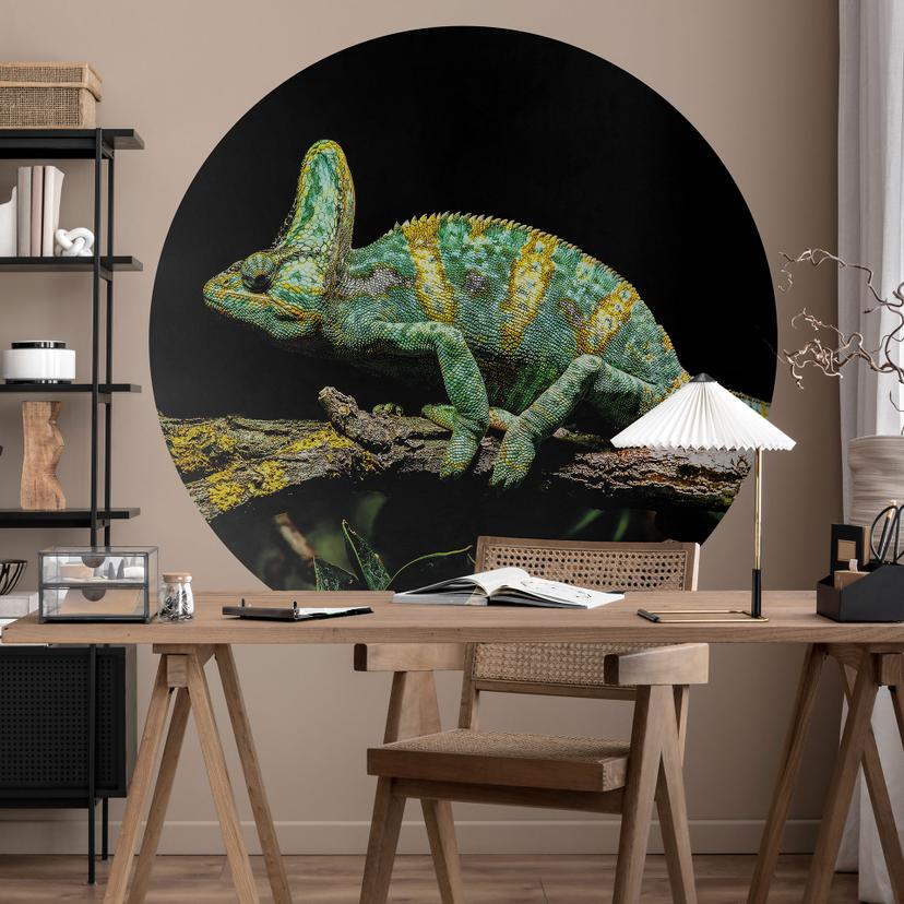 Tapet cirkel Brown - Kamæleon - vliesetapet/selvklæbende non-woven tapet
