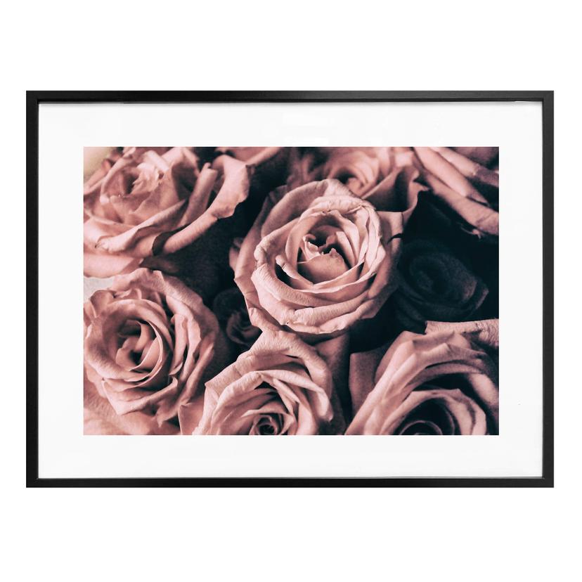 Poster Roses roses au style vintage