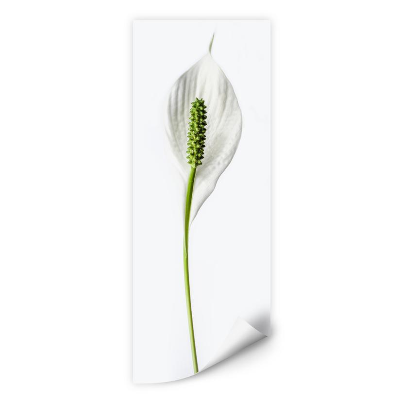 Muurprint Peace Lily