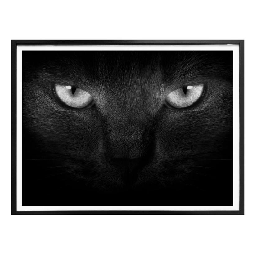 Plakat - Katteøjne - sort/hvid