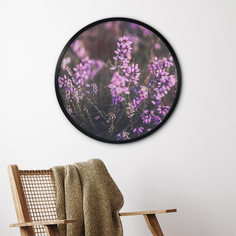 Poster della natura fiori di erica viola in luce calda - Annie - Rotondo
