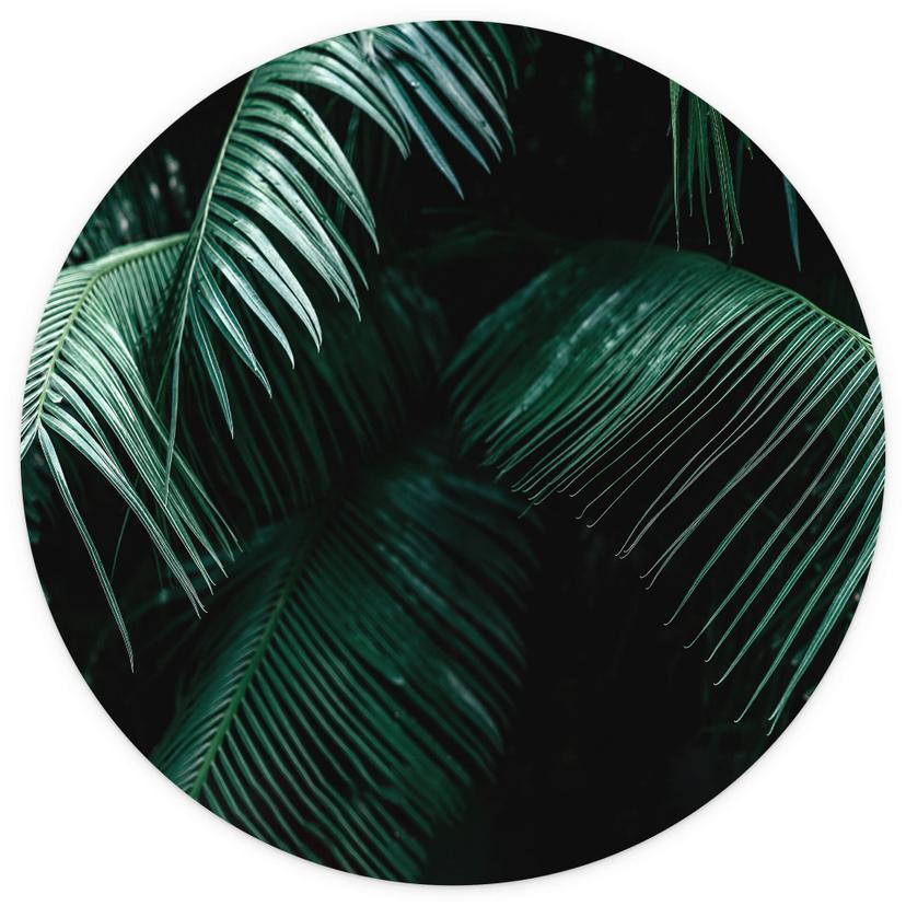 Fototapet med tropiska botaniska växter - rund - non-woven tapet/självhäftande non-woven tapet