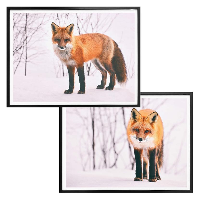 Poster Renard dans la neige - 2 parties