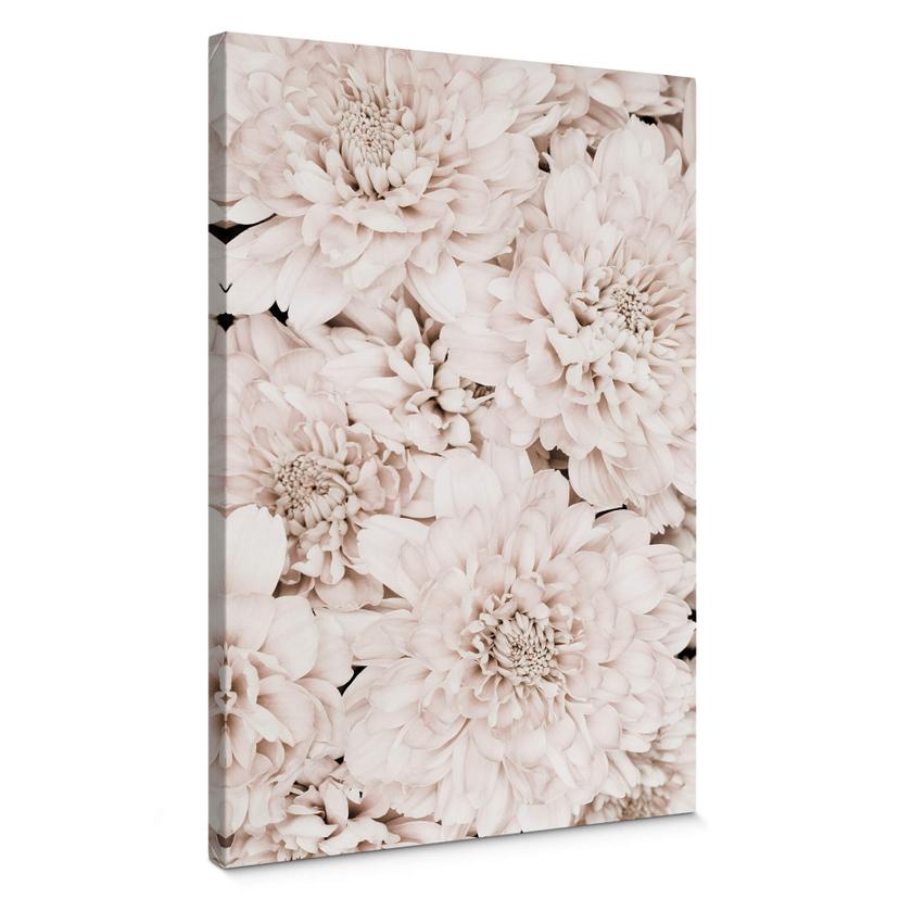 Lienzo 1X Estudio - Aster Apricot